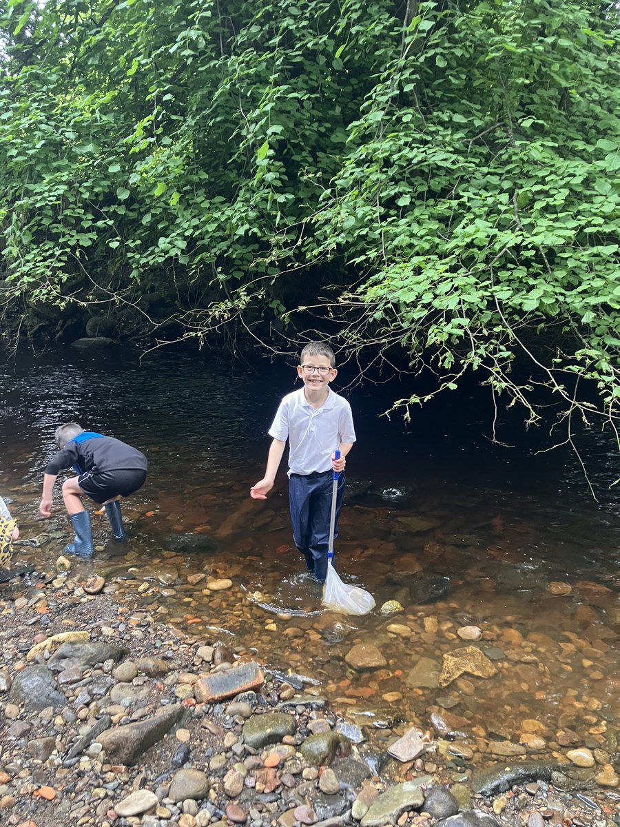 Oxgangs PS Edinburgh tweet media