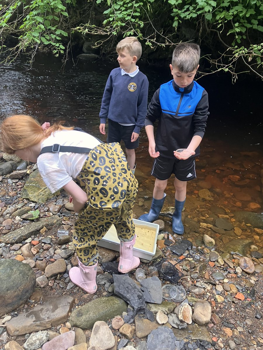 Oxgangs PS Edinburgh tweet media