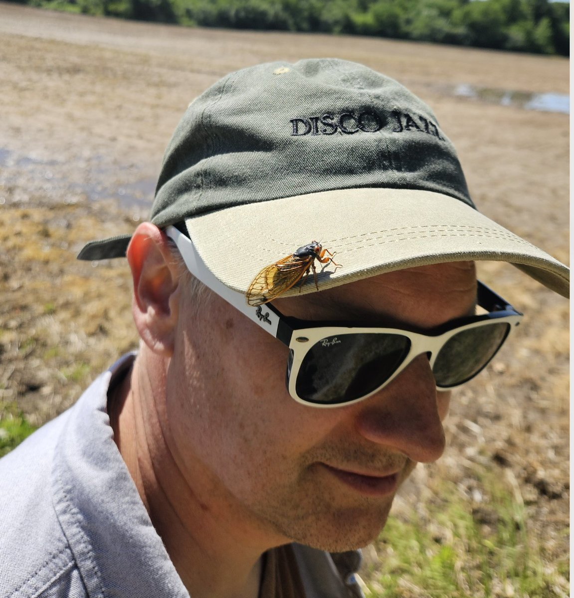 numerogroup tweet media