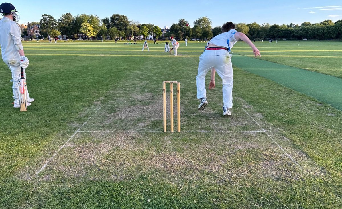 King's Road Cricket & Social Club tweet media