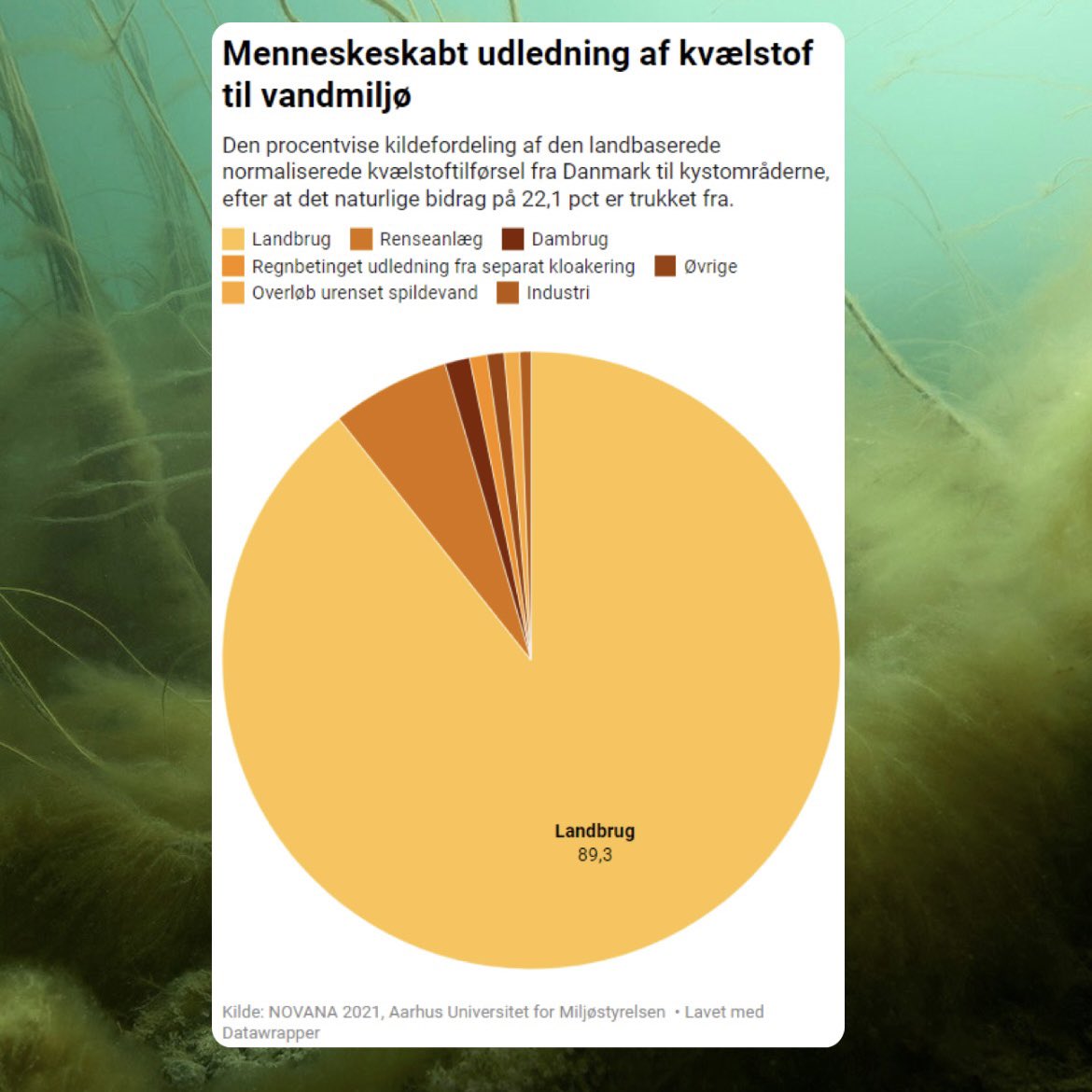 Nej. Fedtemøg skyldes ikke udenlandsk kvælstof💡

Fedtemøget langs de danske kyster skyldes kvælstoftilførsel fra dansk land. 

90 procent af den menneskeskabte kvælstoftilførsel til vandmiljøet kommer fra landbrugets marker. 

Som professor på DTU, Karen Timmermann, forklarede