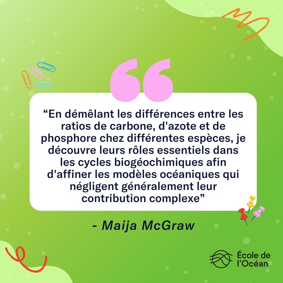 École de l’Océan 🐋 tweet media