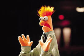 Nice to see Ed Davey channelling Beaker on Question Time. Except Davey is a bigger muppet than Beaker.