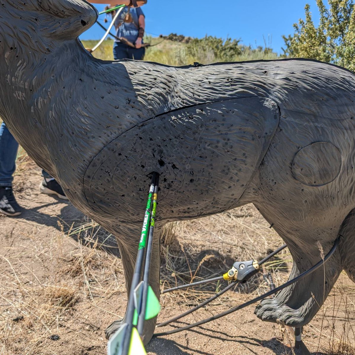 Der_Black_Bird's tweet image. Tyler and I had a few shots this close shooting the 3D range for Father's Day. 
 #archery  #bullseye  #superclose  #close  #hoyt #fathersday #dad #familytime