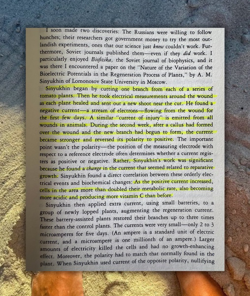zaidkdahhaj's tweet image. DC energy performs in the background of all biological systems, especially for regenerative roles

A change in the current has a direct relationship with the ability to repair

 As positive current increases, metabolic rate of cells rises, which infers benefit