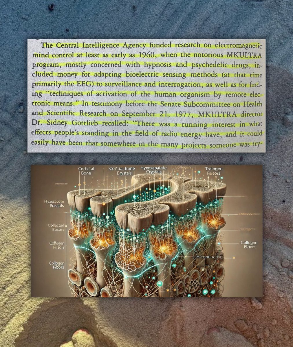 zaidkdahhaj's tweet photo. The CIA and other three letter agencies have known about this work for a long time

They funded research on electromagnetic mind control at least as early as 1960, most notably with MK ULTRA

You’d be a fool for believing this was lost history. It was intentionally buried by the power and money hungry