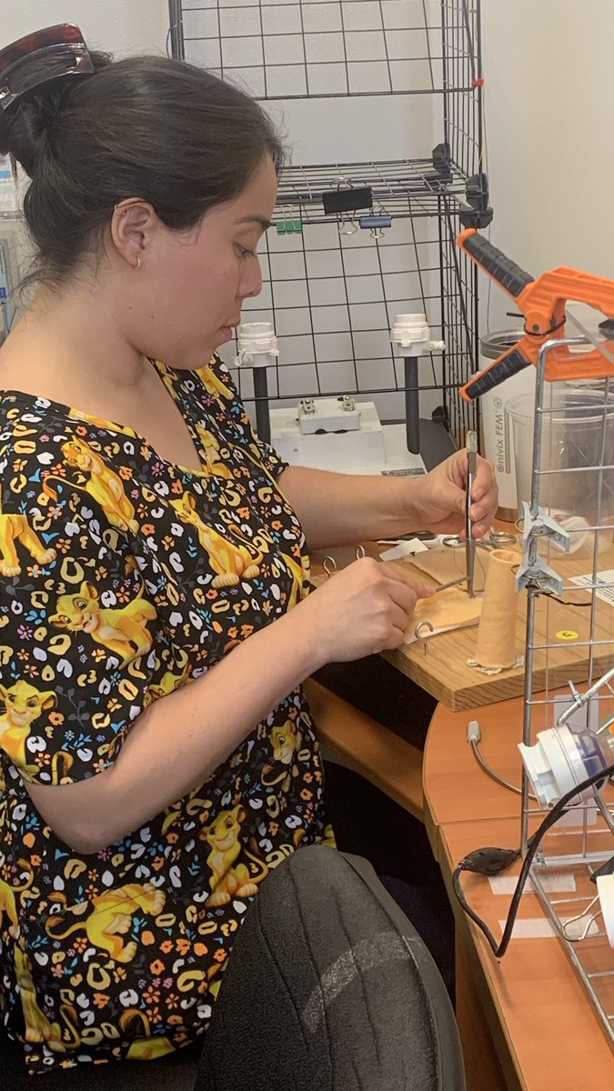 La simulación y los ejercicios básicos deben hacerse desde el R1 para corregir vicios aprendidos en el internado y fortalecer la ergonomía.