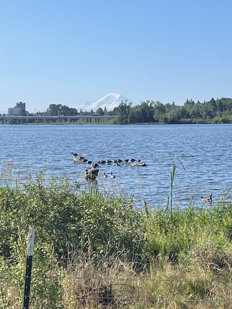 kam_woh's tweet photo. Good view good walk #CVBirdWalk https://t.co/4c1eWhXrTg