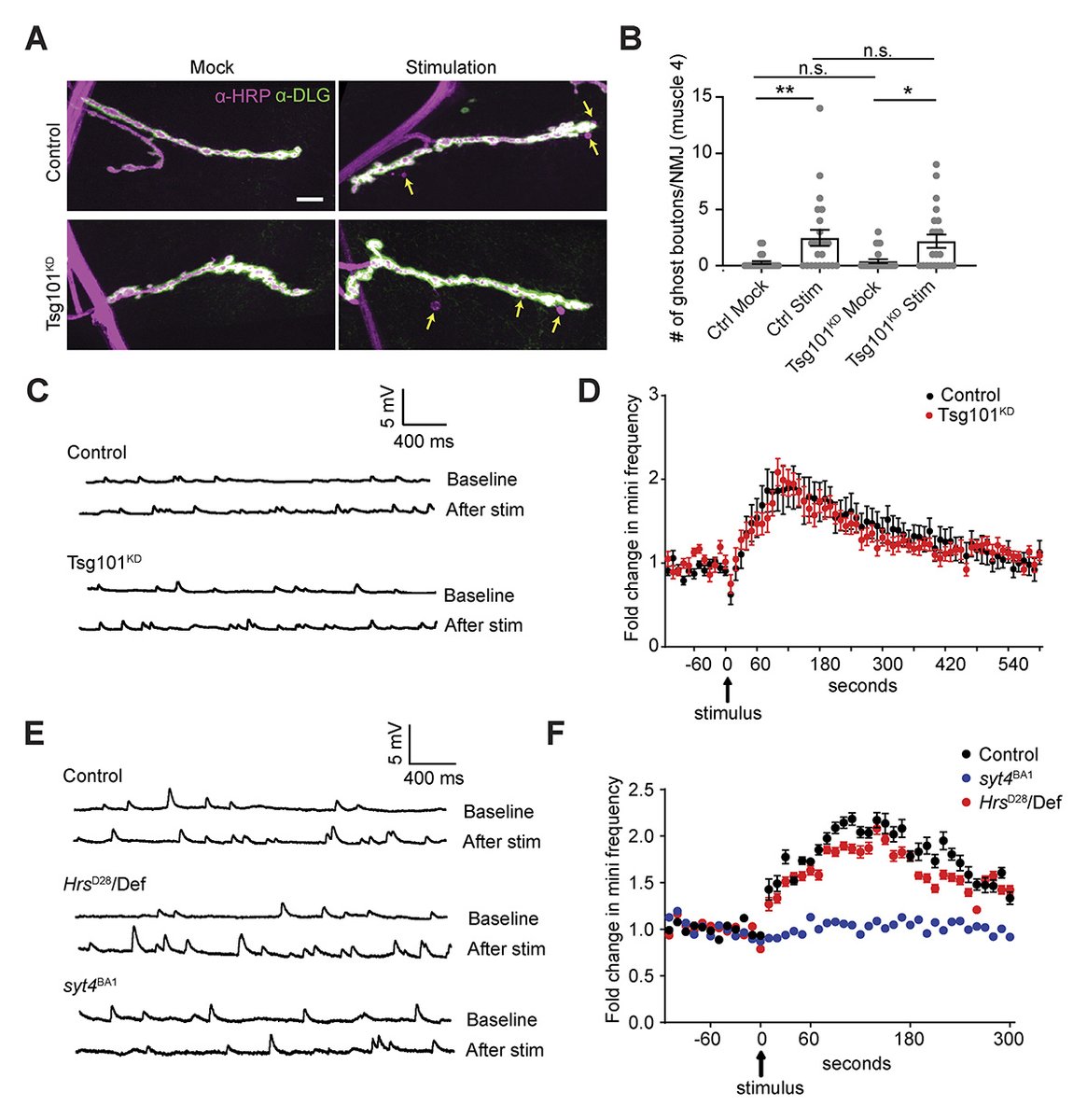 Journal of Cell Biology tweet media