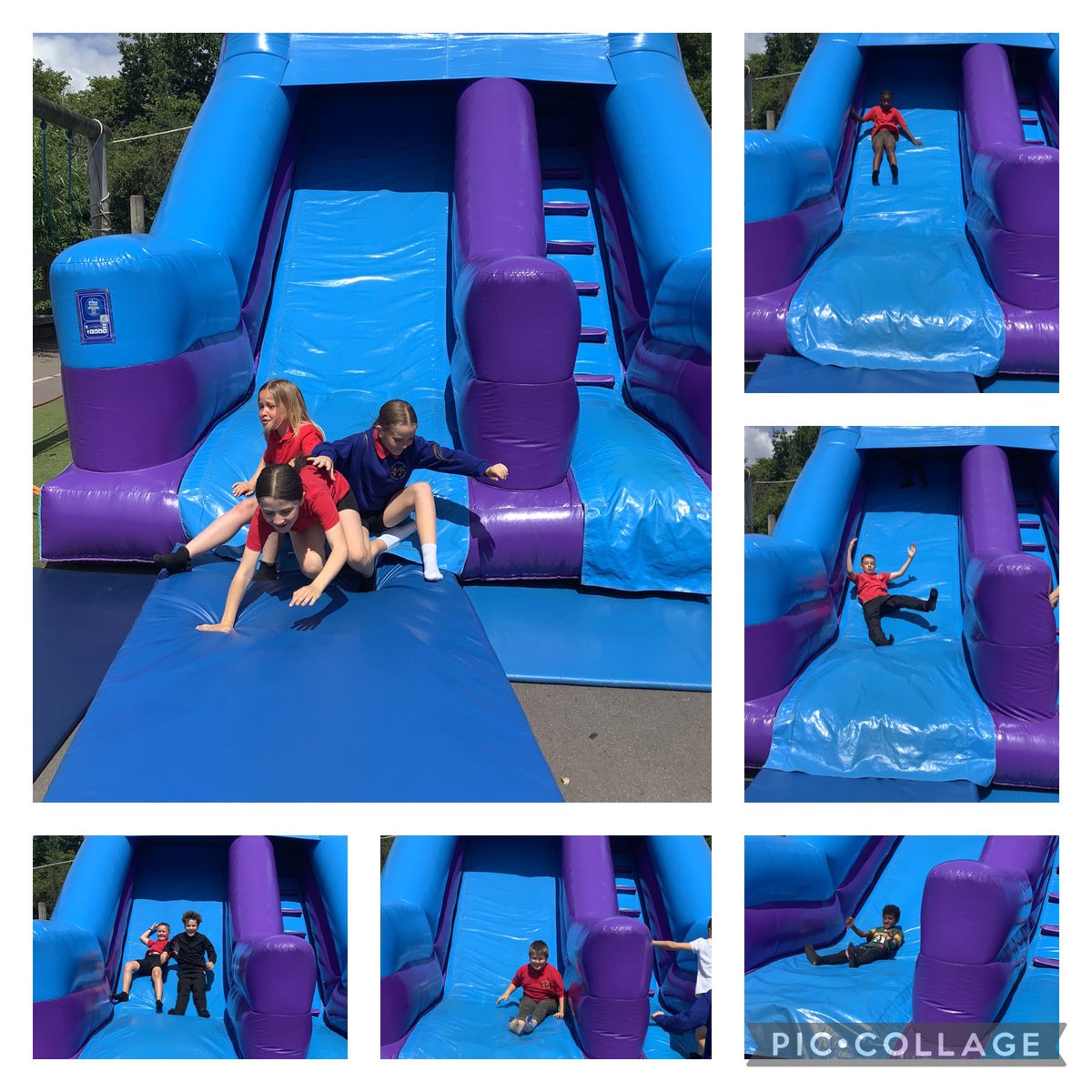 Mrs Chamberlain tweet media