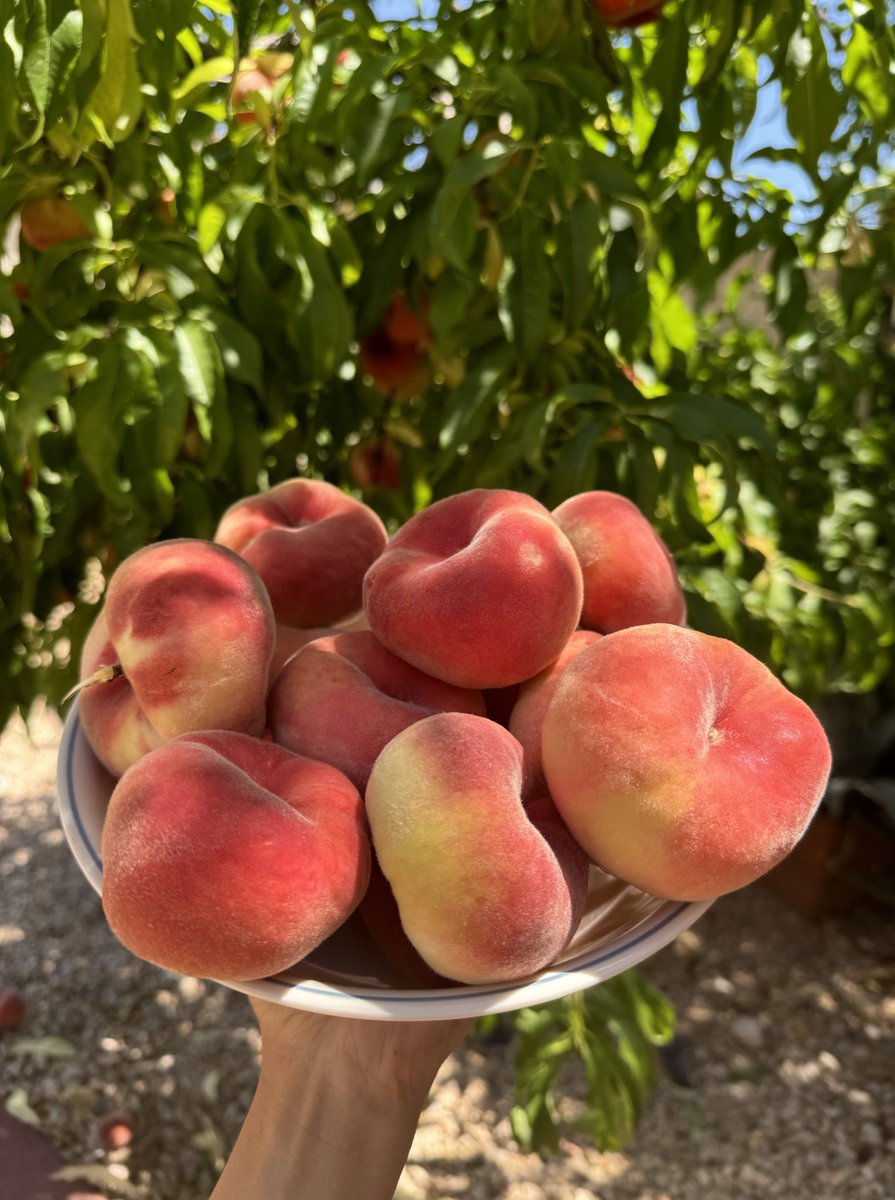 this is my onlyfans 🍑