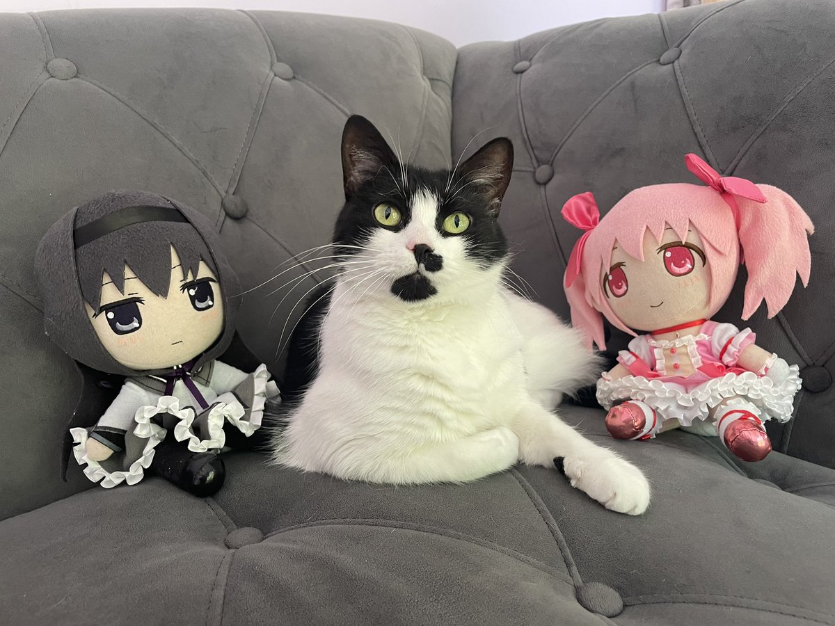 day 21

kitty (reprise)
#madokamagica
#madohomu