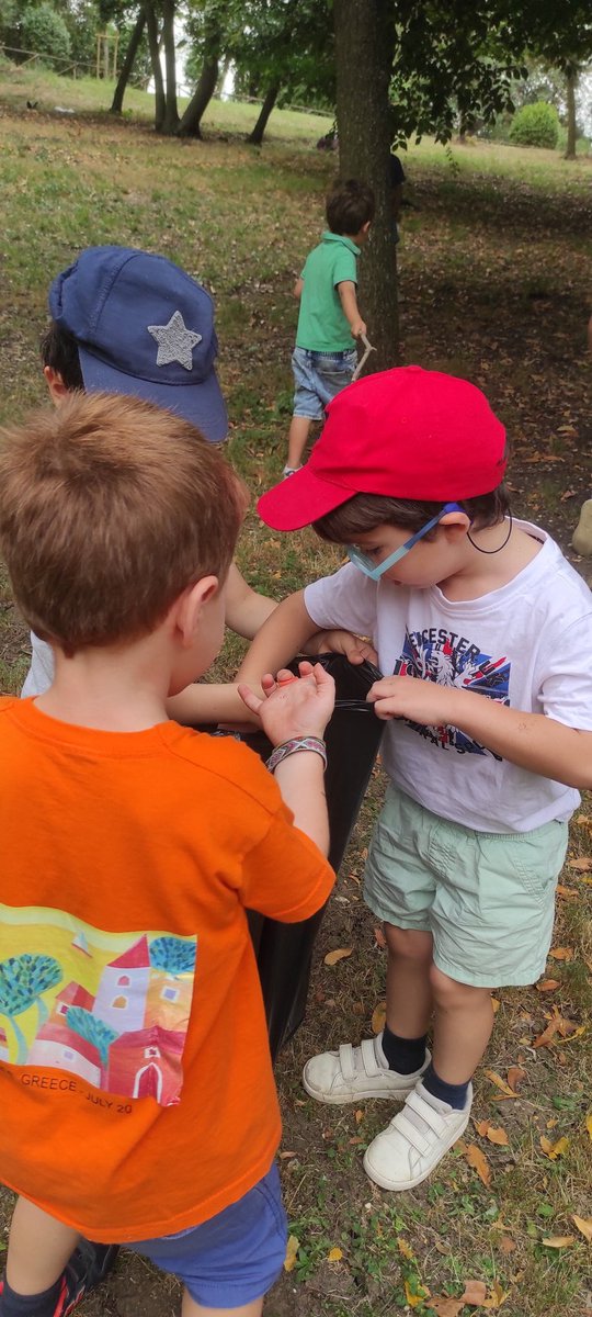 MS2CHATO tweet media