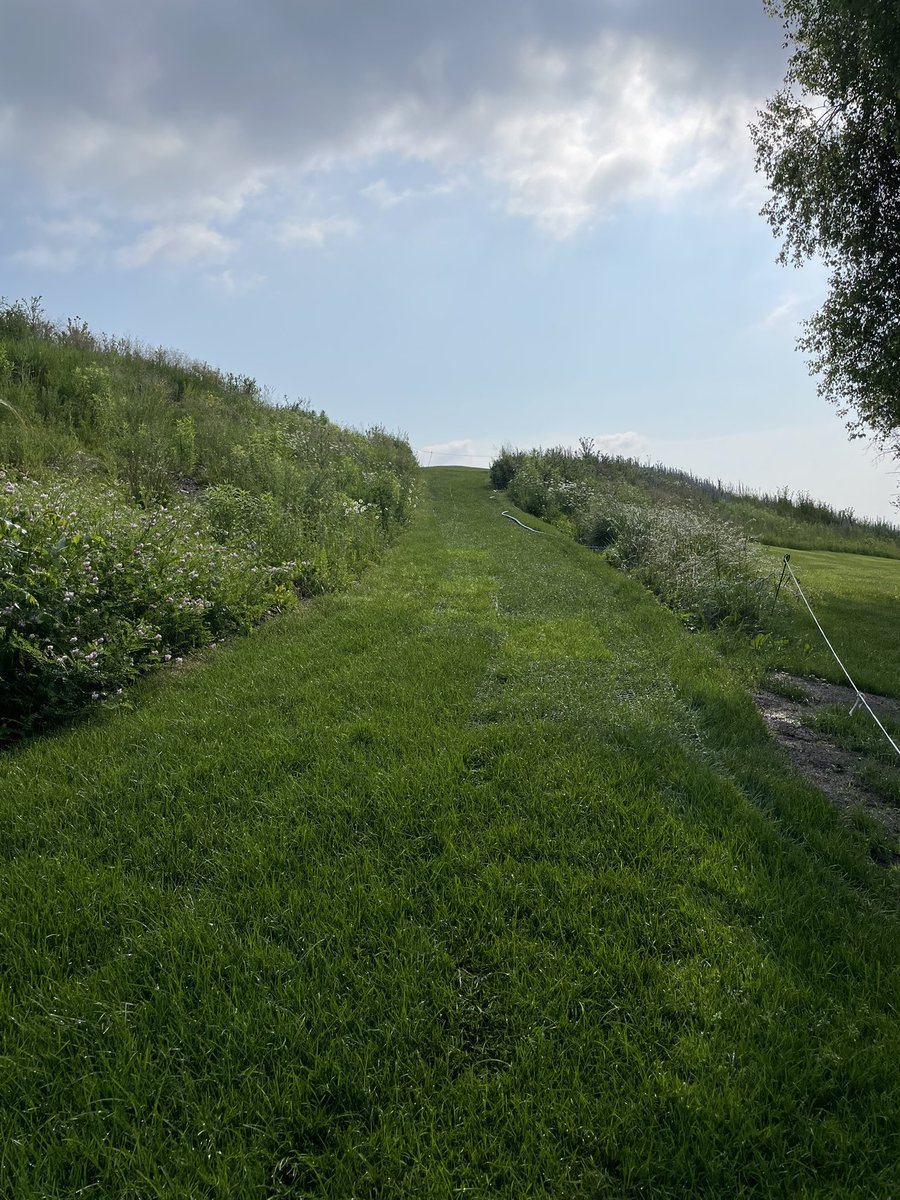 15 days and a little bit of water and this is now a protected pathway ready to go for any type of traffic thrown at it! 

#Traqmatz #Eliminatewearpaths #Transformcartpaths