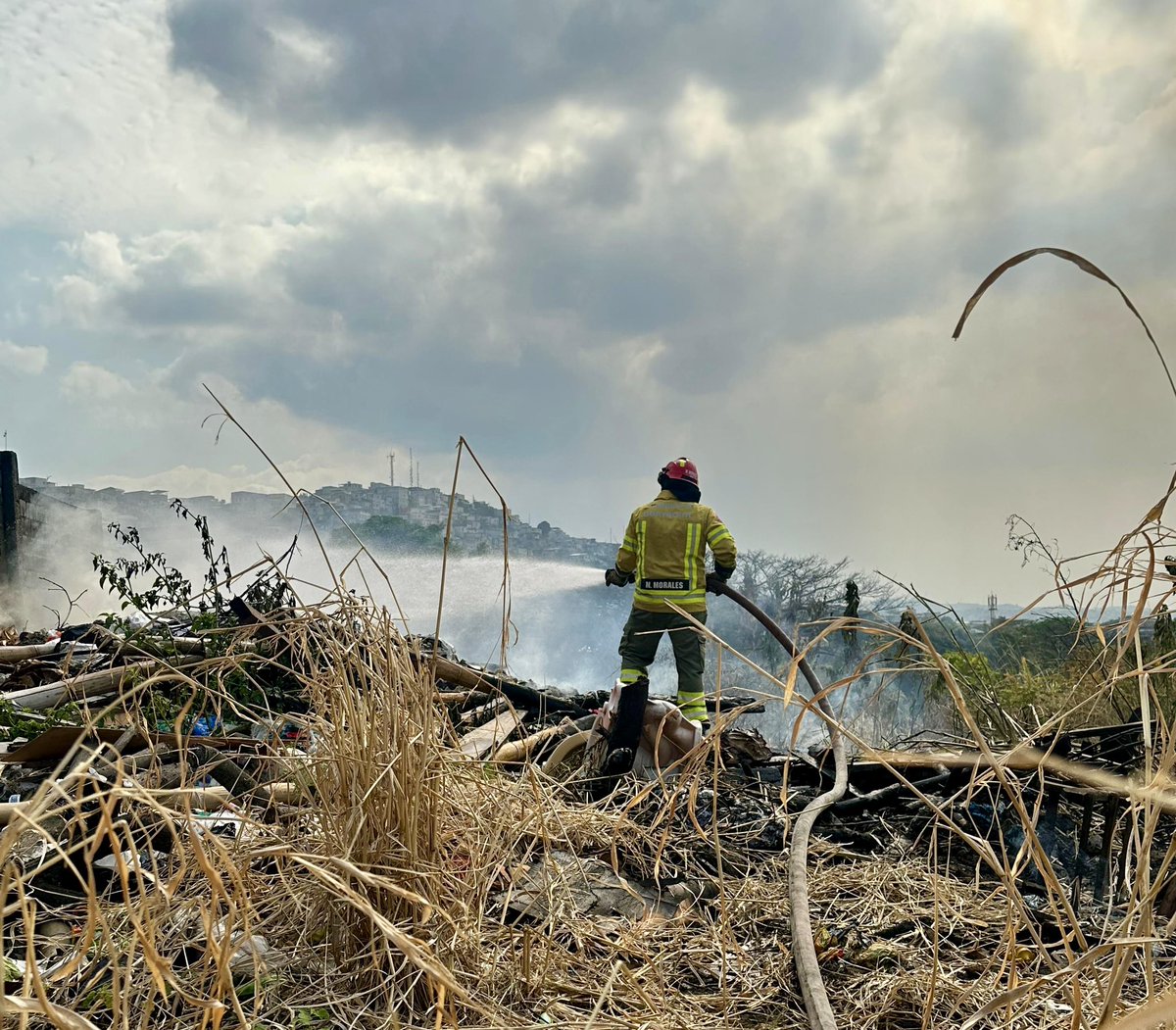 BomberosGYE's tweet photo. #BCBGInforma | Atendemos alarma 2 de incendio forestal en la Av. Juan Tanca Marengo, como referencia atrás de la Facultad de Ciencias Naturales. 

Al lugar se despacharon cuatro unidades de combate urbano forestal. https://t.co/7DxHhntMrj