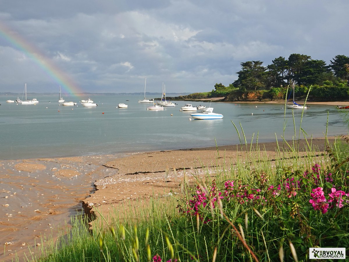 Kervoyal En Damgan tweet media