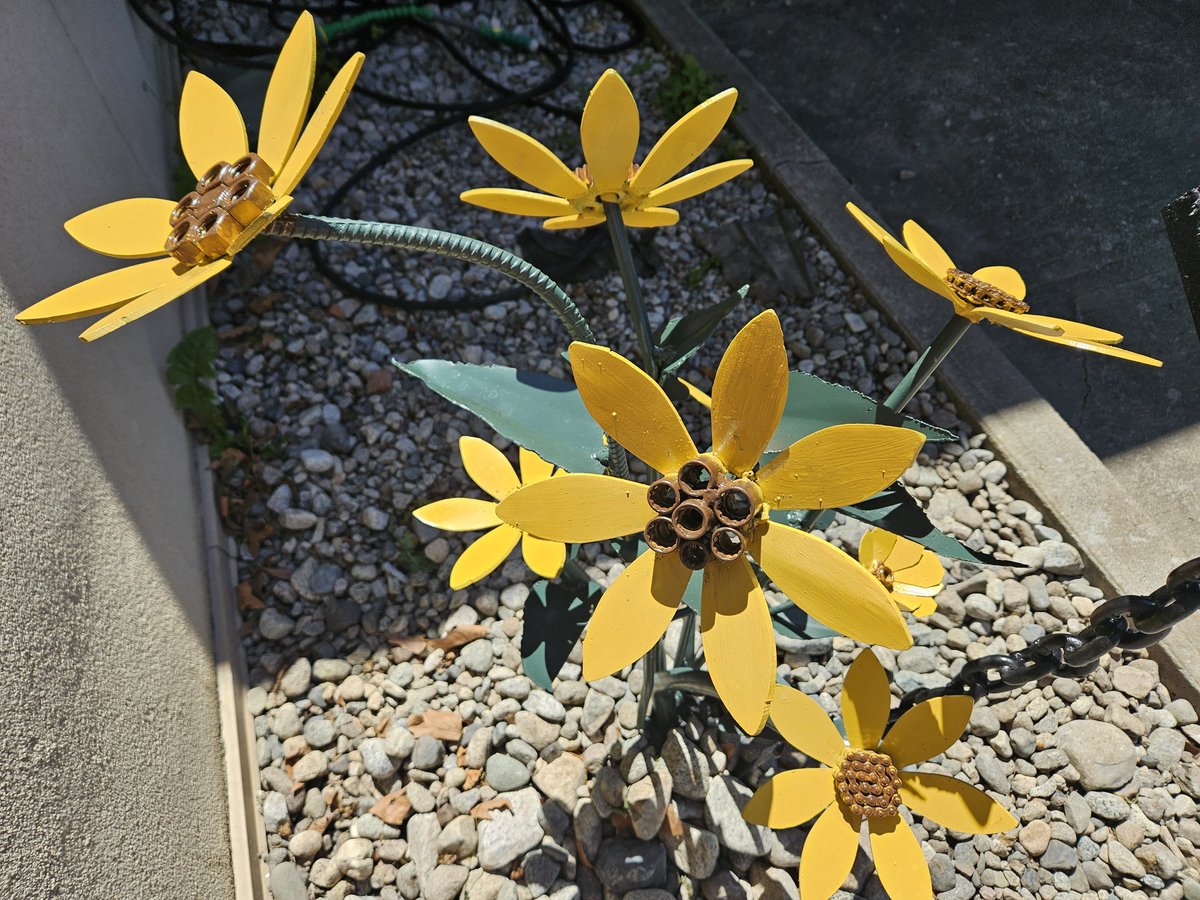 Cool project by a SD67 Apprentice.  Happy summer.