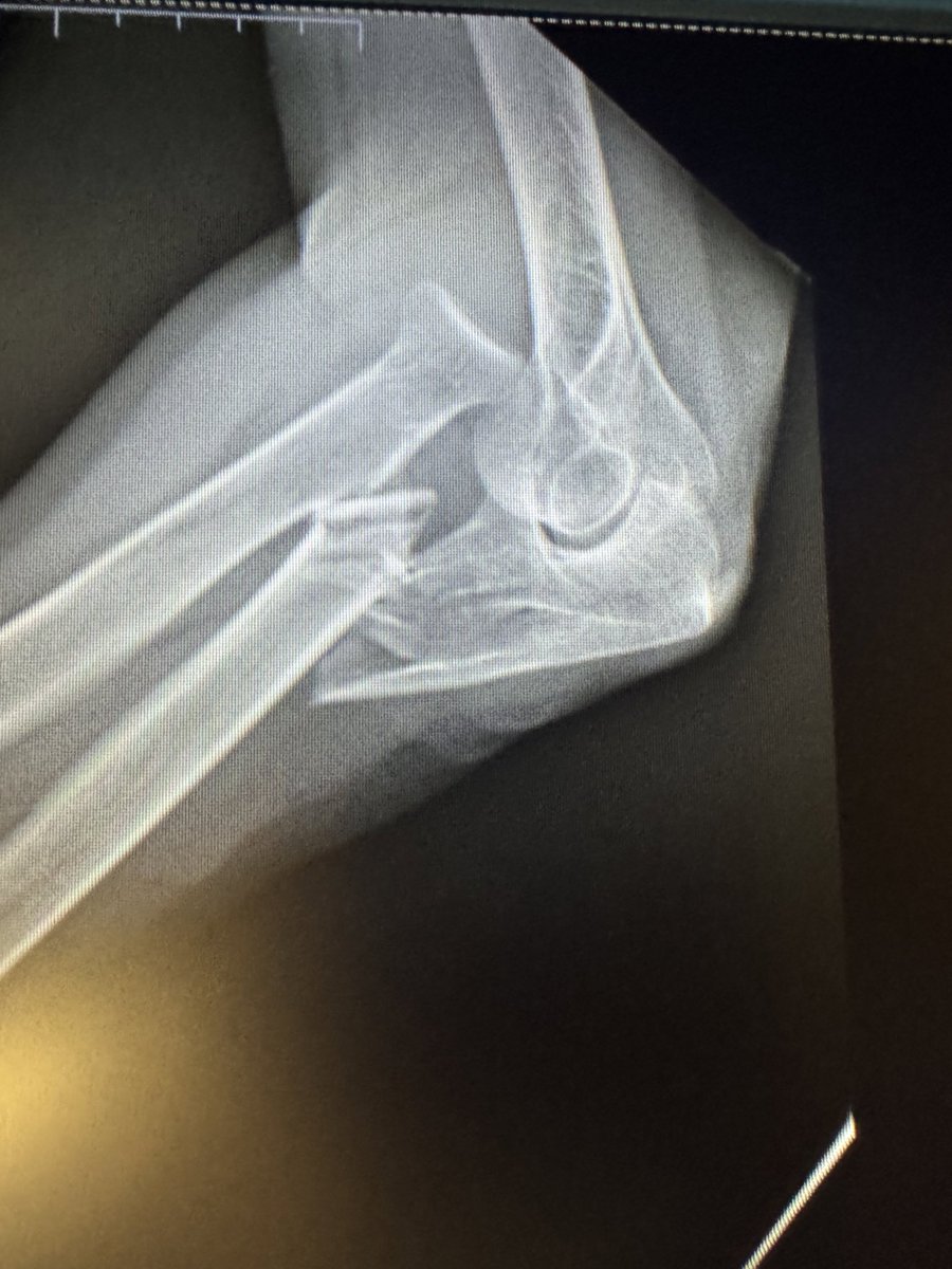 Very General Orthopaedist tweet media