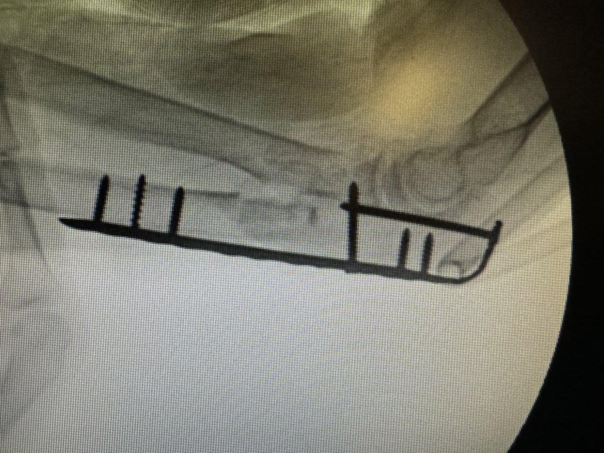Very General Orthopaedist tweet media