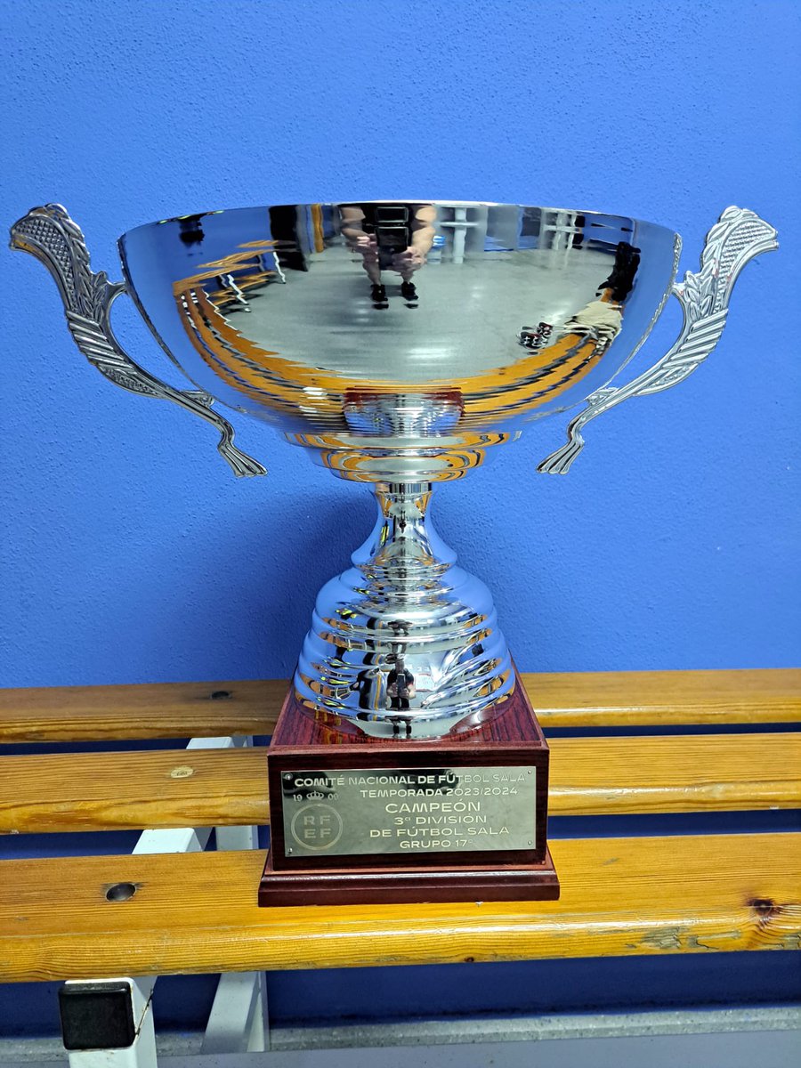 🏆 ¡ADYO Cañada Rosal hace historia con un ascenso a 2ª B Nacional de Fútbol Sala 🏆
Este ascenso no solo celebra la culminación de una temporada excepcional, sino también el trabajo y la dedicación de muchos años. Este éxito es de todos nosotros.
¡Vamos ADYO Cañada Rosal!