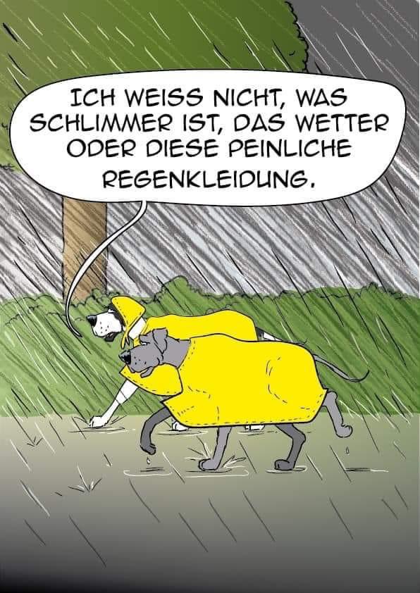 sameoldsmile's tweet image. 😅 #dogcontent