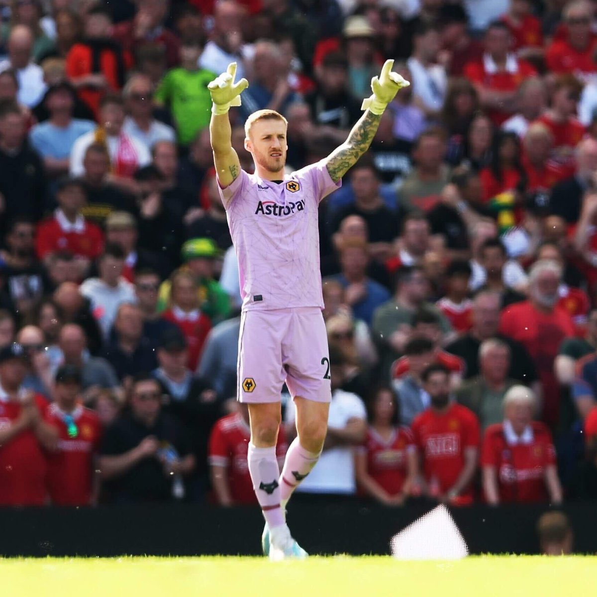 Norfolk In Chance tweet media