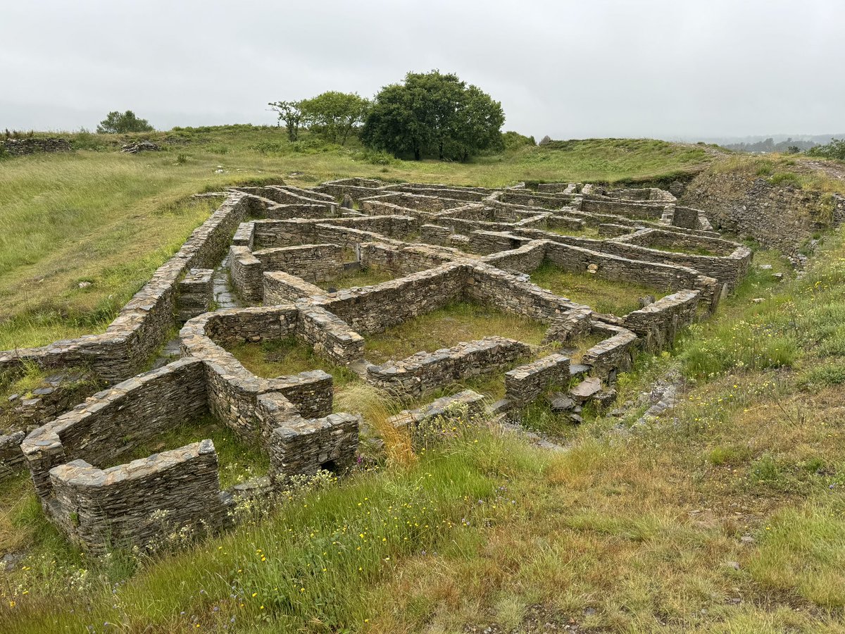 ChasingAphrodit's tweet image. Walking the Camino de Santiago for two weeks and finding lots of great history along the way.

Here is the iron age site of Castromaior, a hilltop site with sweeping views of the Rio Miño valley in Lugo, occupied since VI century Bce