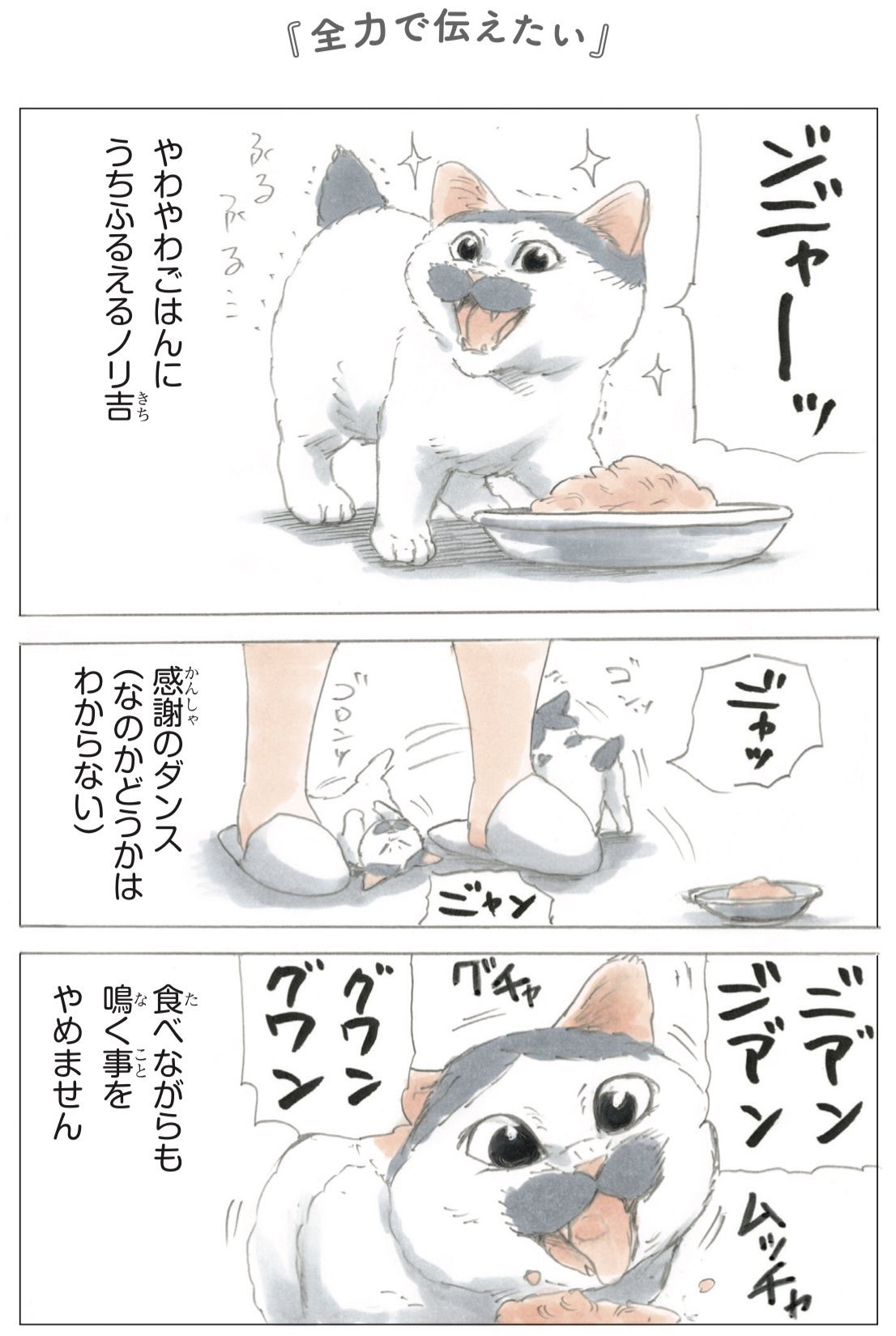 拾い猫のモチャ / ノリ吉のちいさな大冒険 他 / にごたろ Amazon.co.jp: ノリ吉のちいさな大冒険 : にごたろ: 本