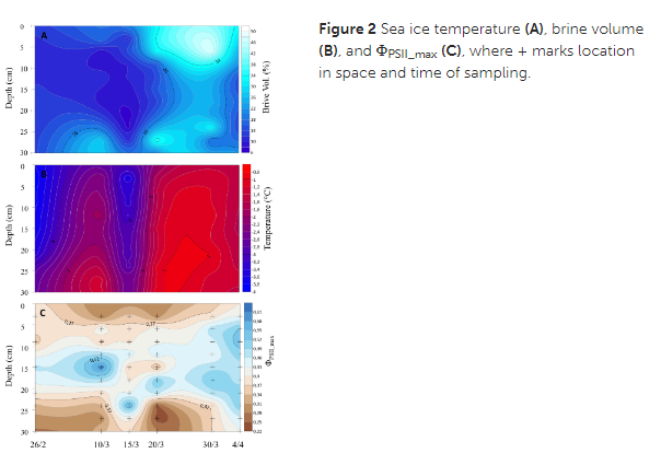 International Programme on the State of the Ocean tweet media