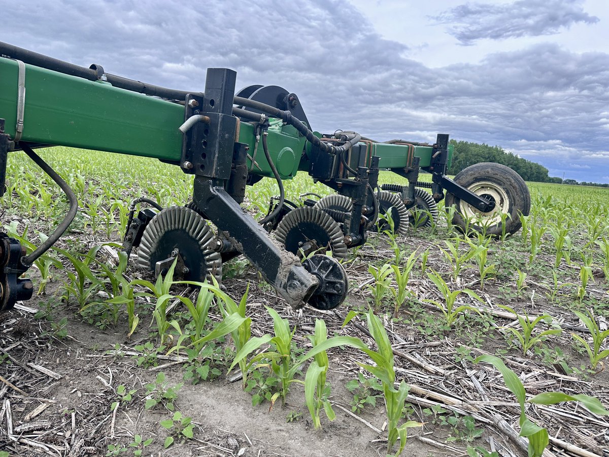 Day one running the new applicator - we will be ignoring how it took to realize I lost a gauge wheel.

Also ignoring the lambsquarter, they are next.