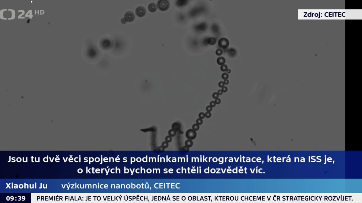 PumeraGroup's tweet image. The first 🇨🇿 Czech 👨‍🚀 Astronaut @astro_ales
will visit 🛰️ #ISS in 5 years. #Nanorobots 🤖will 🚀 fly with him  - @PumeraGroup is preparing 🤖nanorobotic 🧪experiments for @ISS_Research
See more at @CT24zive
ct24.ceskatelevize.cz/clanek/veda/zi…
Stay tuned, more to come