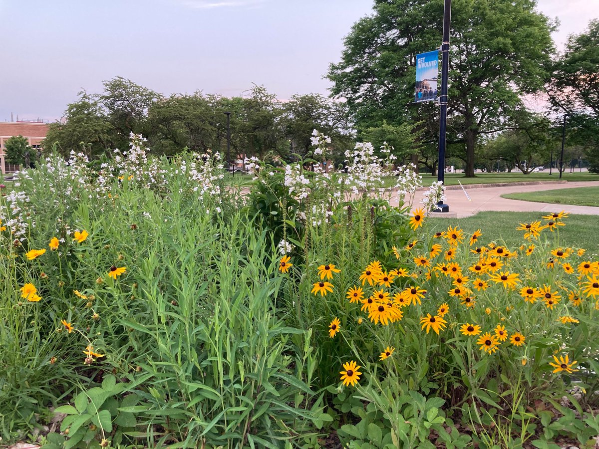 Alex Rusakov (@alexrusakov7) on Twitter photo 