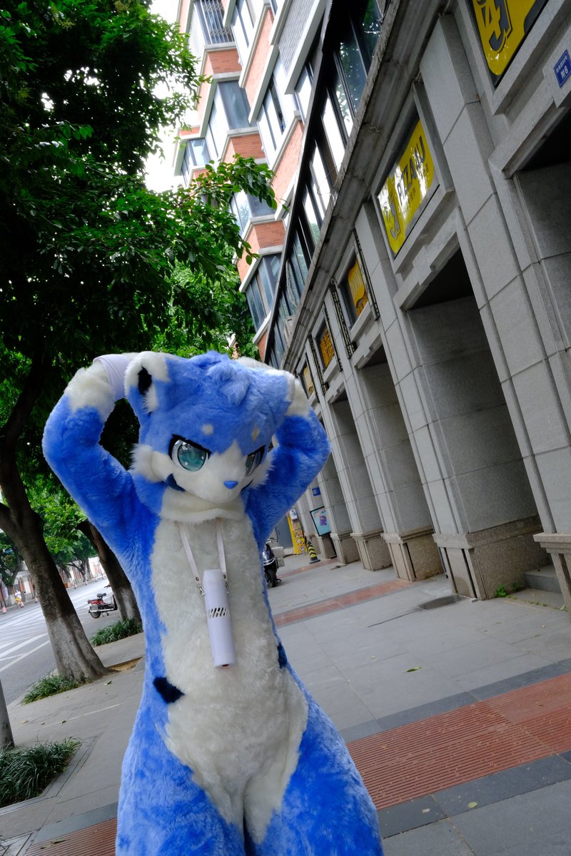 #FursuitFriday
歸去來兮