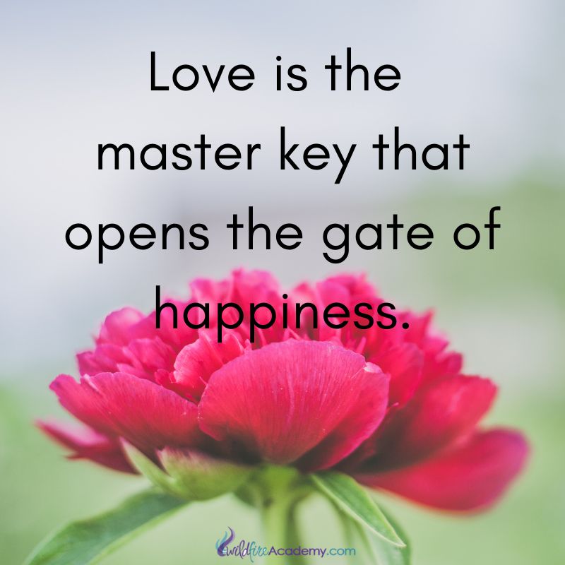 ►Love is the master key that opens the gate of happiness. #EBCouncil #Quote #Share #RT