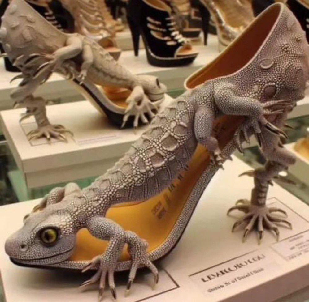 آخر موضة واصدار جديد بنات 🌚🤣😖😖💔