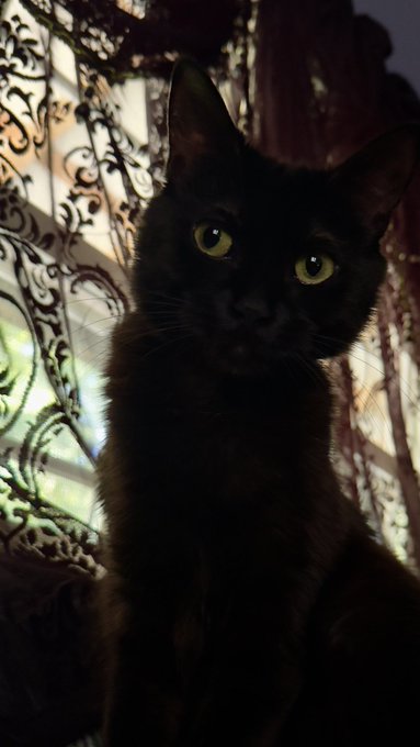 I am edible apparently https://t.co/mAgyx4ACuJ