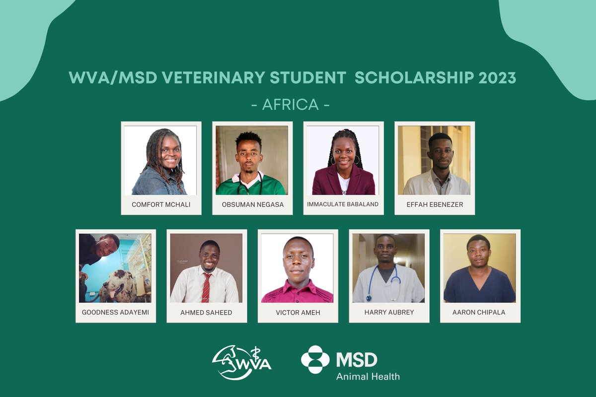 WVA is happy to announce the recipients of the WVA/MSD Scholarship programme! 80 Scholarships of 2500 USD go to students from 43 countries, from Asia and Oceania, Africa, the Middle East, and Latin America, chosen from over 600 applications. Read more:worldvet.org/news/meet-the-…