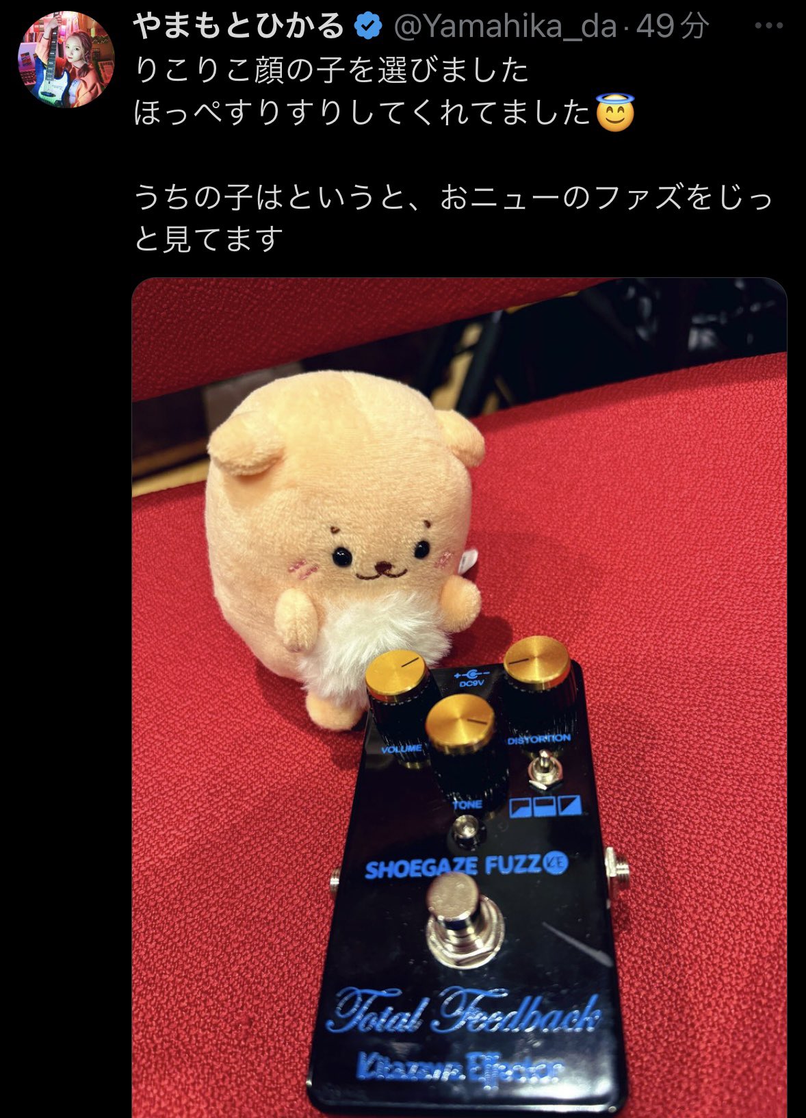ギター Kitazawa Effector Total Feedback ハタユウスケがプロディースしたシューゲイズ・プレイヤーのため