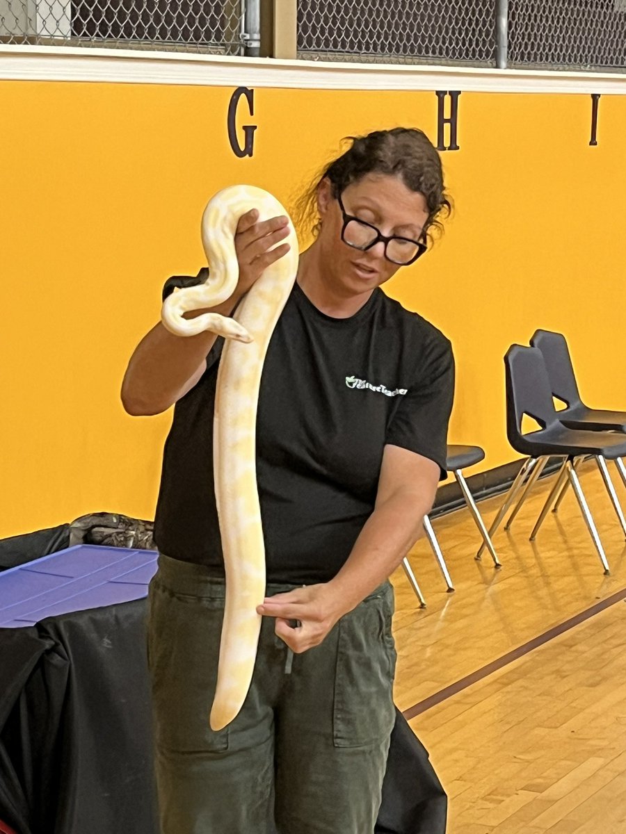 Mark Molina (@molina_mark) on Twitter photo I got a new scholar today at Camp E! He’s off to a jump start. Our campers were fascinated by our furry and slithery friends presented by Teacher Creature.
<a href="/PeralesESchool/">Perales STEAM Elementary School</a> I got a new scholar today at Camp E! He’s off to a jump start. Our campers were fascinated by our furry and slithery friends presented by Teacher Creature.
<a href="/PeralesESchool/">Perales STEAM Elementary School</a>