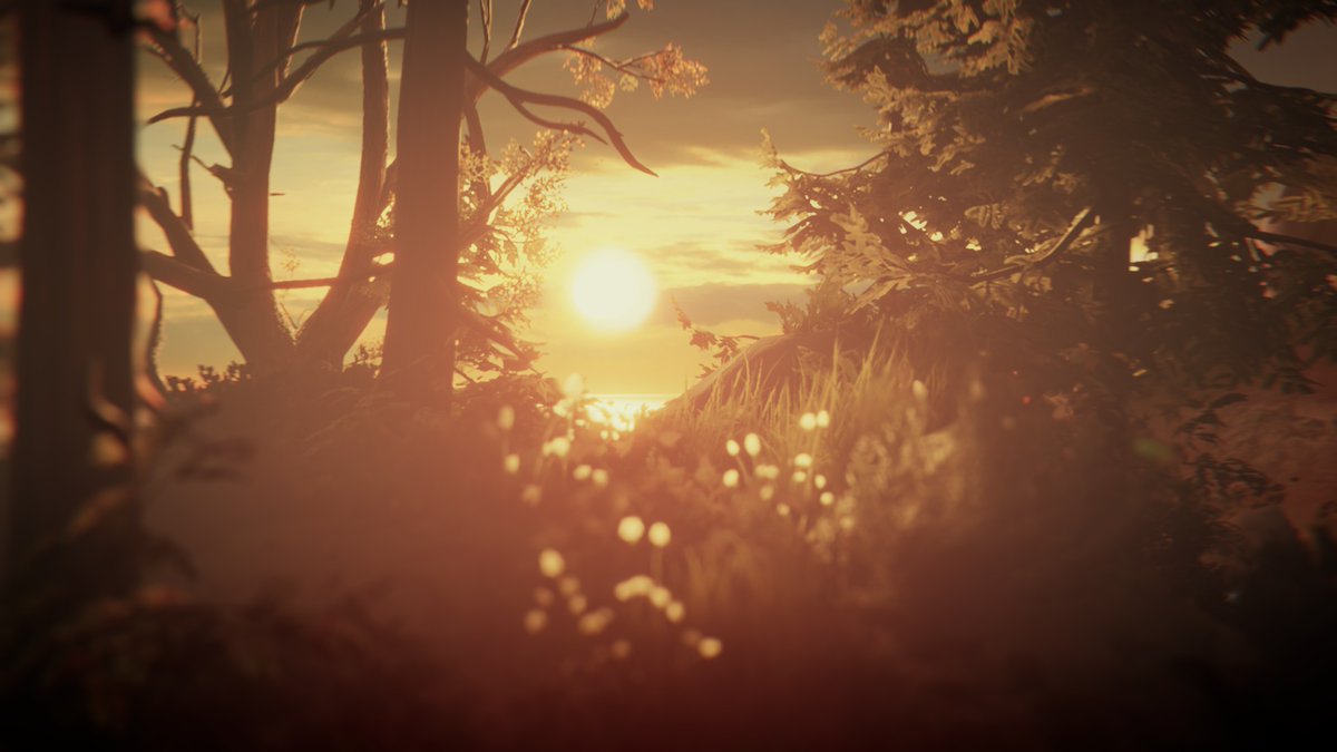 myselfaqua's tweet photo. @nicefieldSFM this is my fav life is strange gifs and pics (happy birthdayy) https://t.co/S4S2V0tlDb