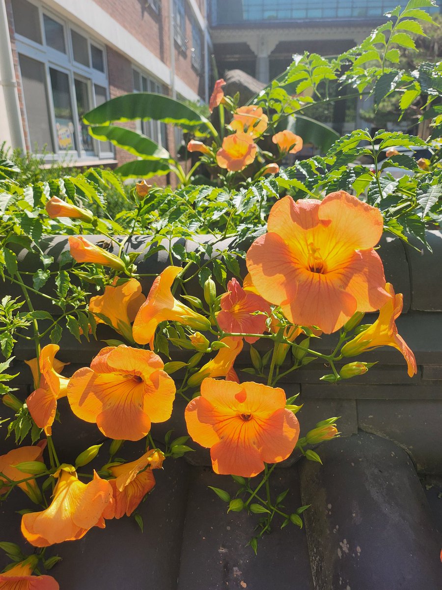 축복합니다♡
덕분입니다♡

전주 한옥마을~*