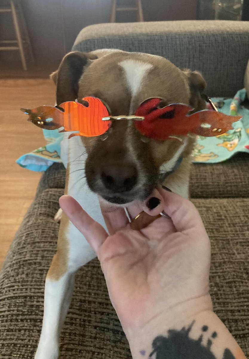 Maggie is ready for #summer