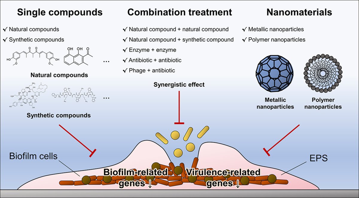 ABsteward's tweet image. 🆕️⚡️⚡️ Review #IJAA
Strategies for controlling polymicrobial biofilms: a focus on antibiofilm agents #IDXposts
sciencedirect.com/science/articl…