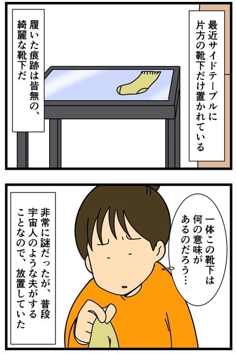 リビングの靴下の謎が解明した…話(1/2) 