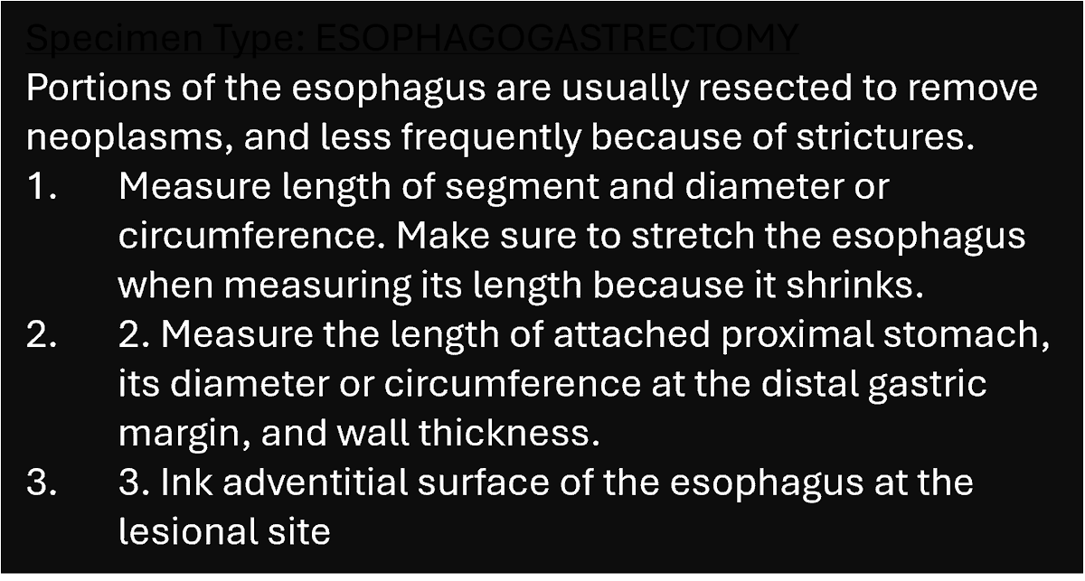 lorenaevilla's tweet photo. GROSS: ESOPHAGOGASTRECTOMY #GIpath  #pathoupic #pathAward #pathTwitter  #theartofgross #pathology  #pathologist https://t.co/G8tQBe1kro