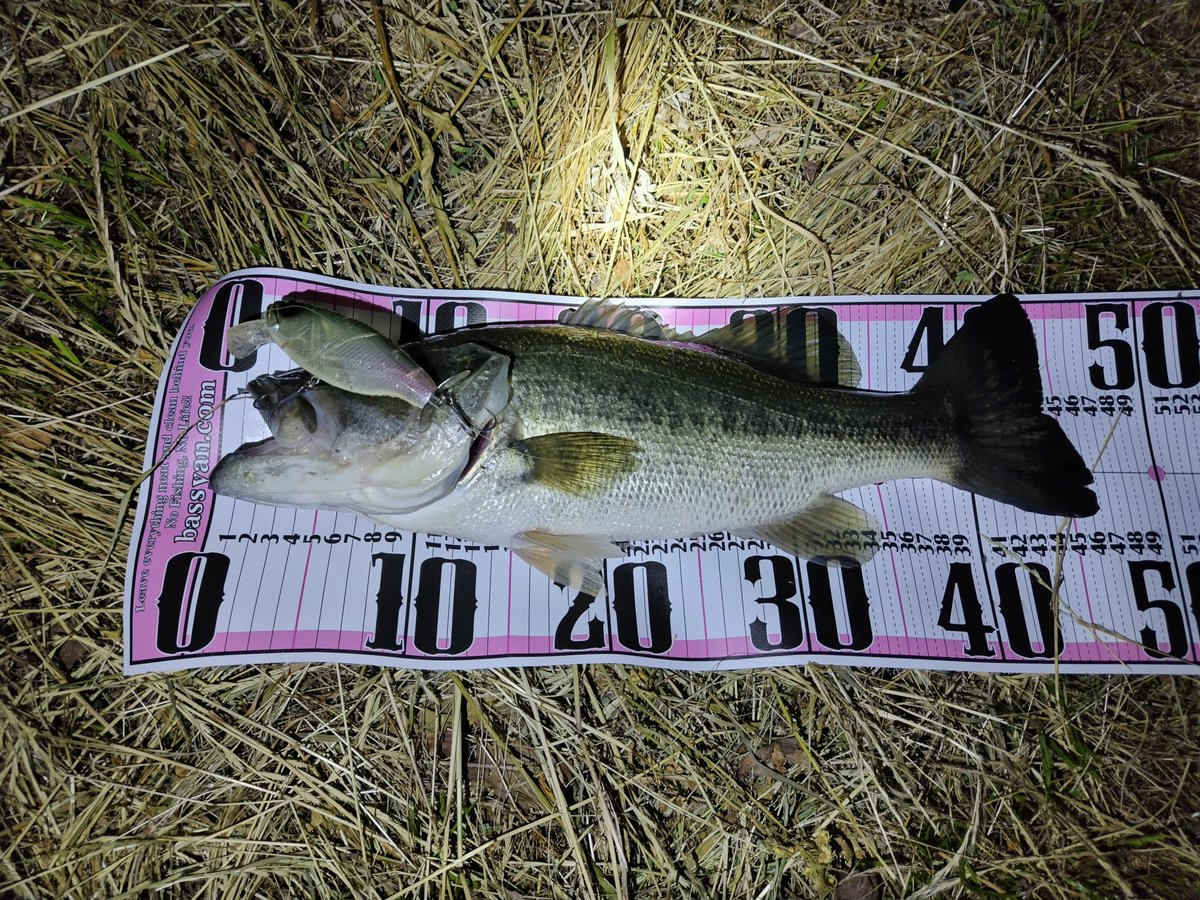 梅雨らしい釣りで水面爆発😊