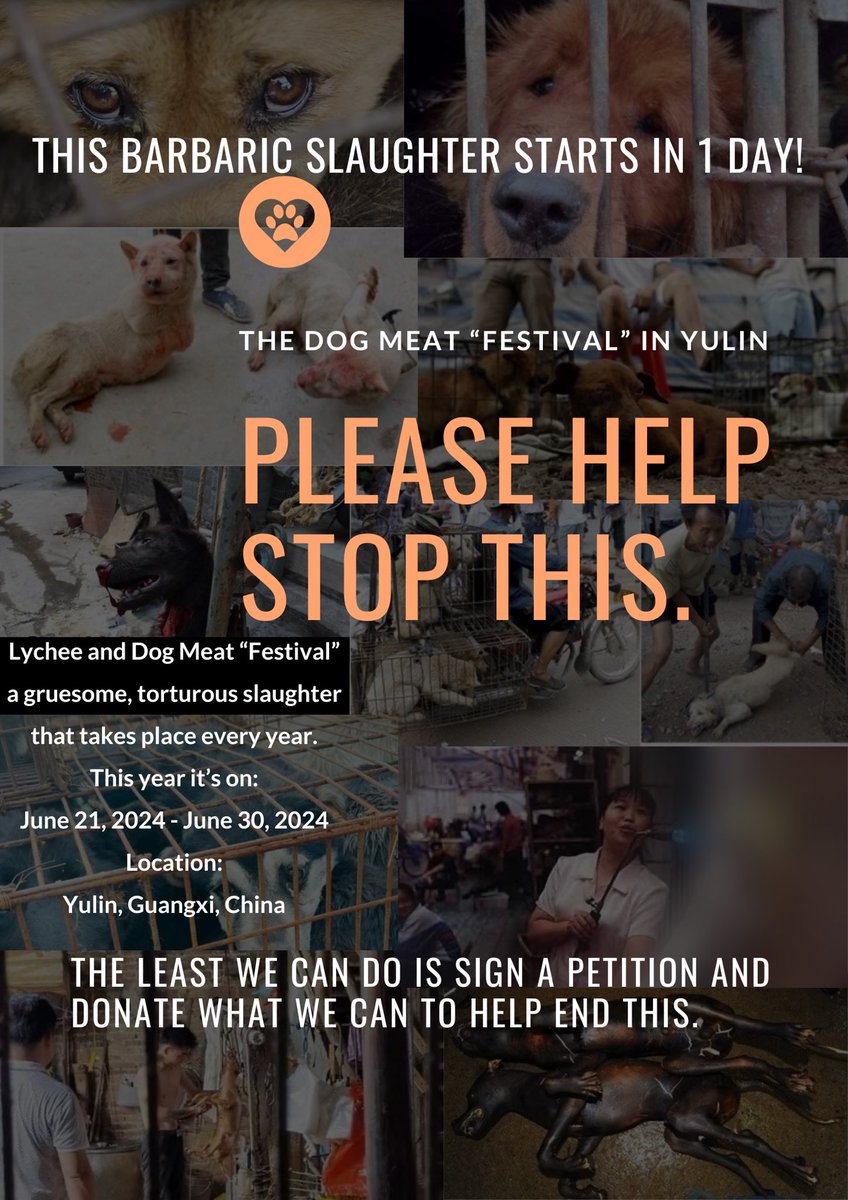 petsanimalslove's tweet photo. In 1 more day, June 21-30, 2024, the Yulin Dog Meat “Festival” will subject thousands of dogs & cats to unspeakable cruelty. This must stop! 🐶🐾💔
Sign the petition linked in our bio to end this horror & share to spread awareness. #StopYulin2024 #StopAnimalCruelty #HelpTheDogs https://t.co/qeBzEjb2Q0