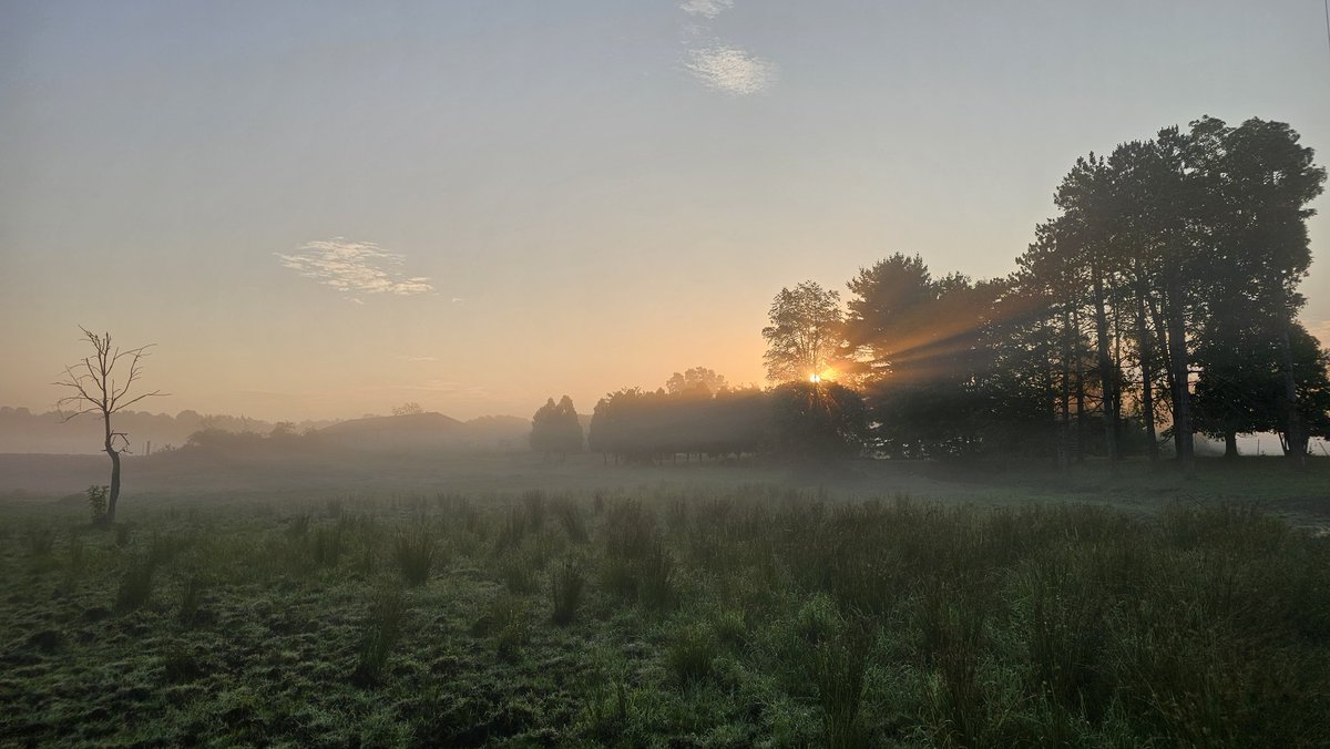 100 days until the <a href="/AkronMarathon/">Akron Marathon</a>... this heat is tough to train in, so it's 6am runs until things cool off! #running