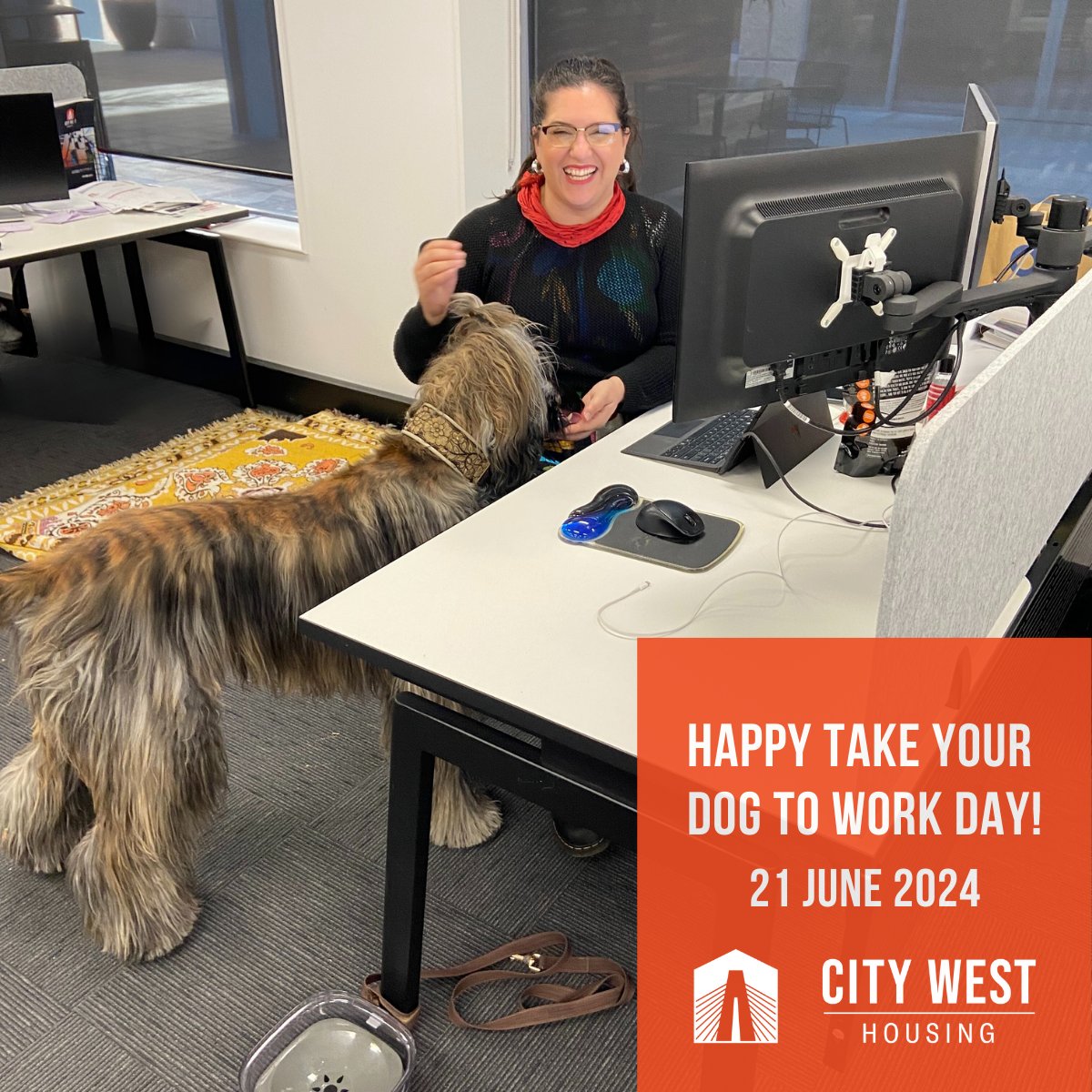 It's #TakeYourDogToWorkDay, which reminds us of the important role pets have in our lives
To celebrate we've had Kamal's Afghan hound, Baba Ganoush, in the City West Housing office. He’s our new Assistant Paw-ject Manager!
Furry friends in the office improves #EmployeeEngagement!