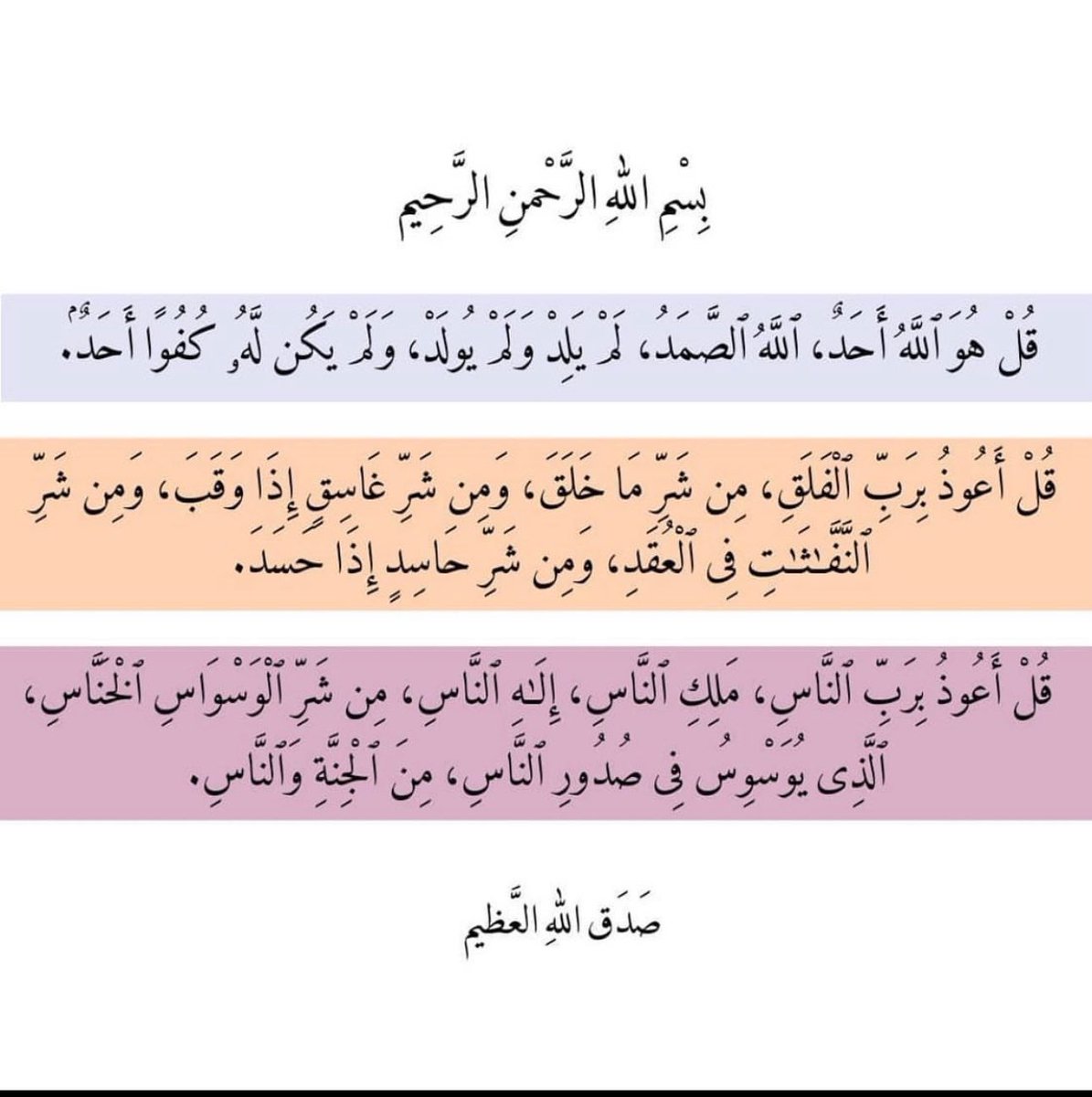 نـجـود ناصـر. tweet media